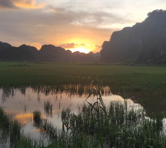 Walk in the countryside – Tam Cốc – Ninh Binh