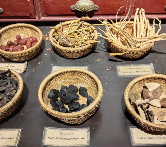 Museum of Traditional Vietnamese Medicine FITO (Bảo tàng Y học Cổ truyền) – Saigon