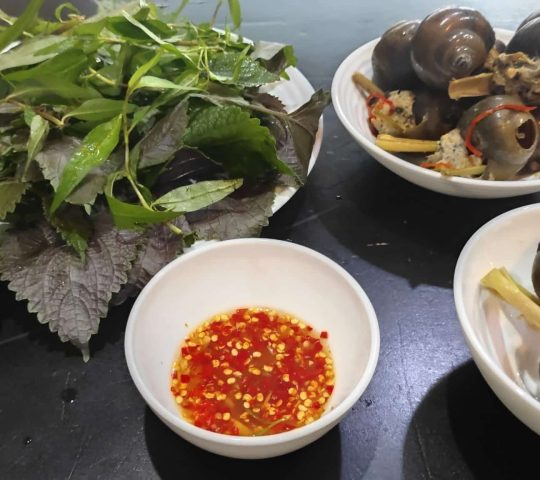 Ốc Bươu Nhồi Thịt 9 Ốc – Saigon