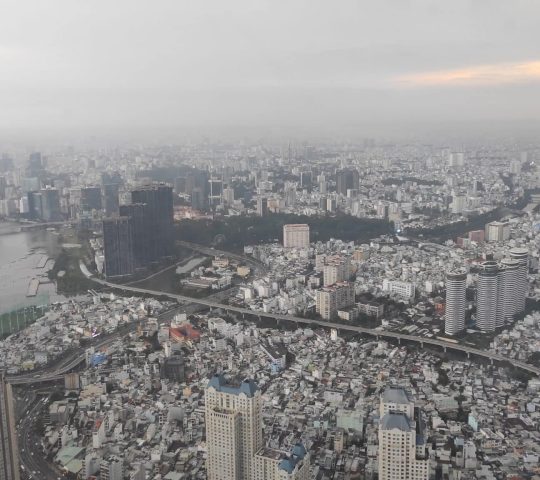 Saigon Landmark 81 skyview