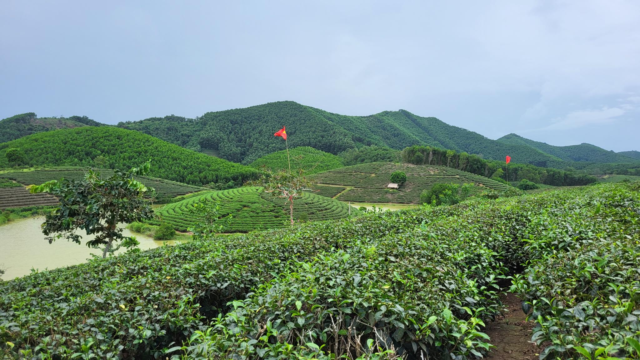 Vinh