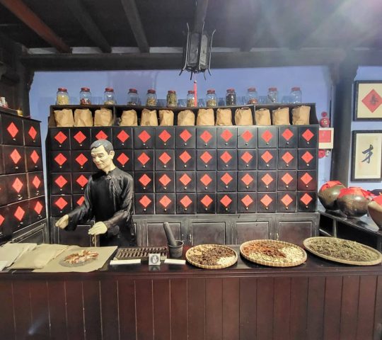 Museum of Traditional Medicine – Hoi An
